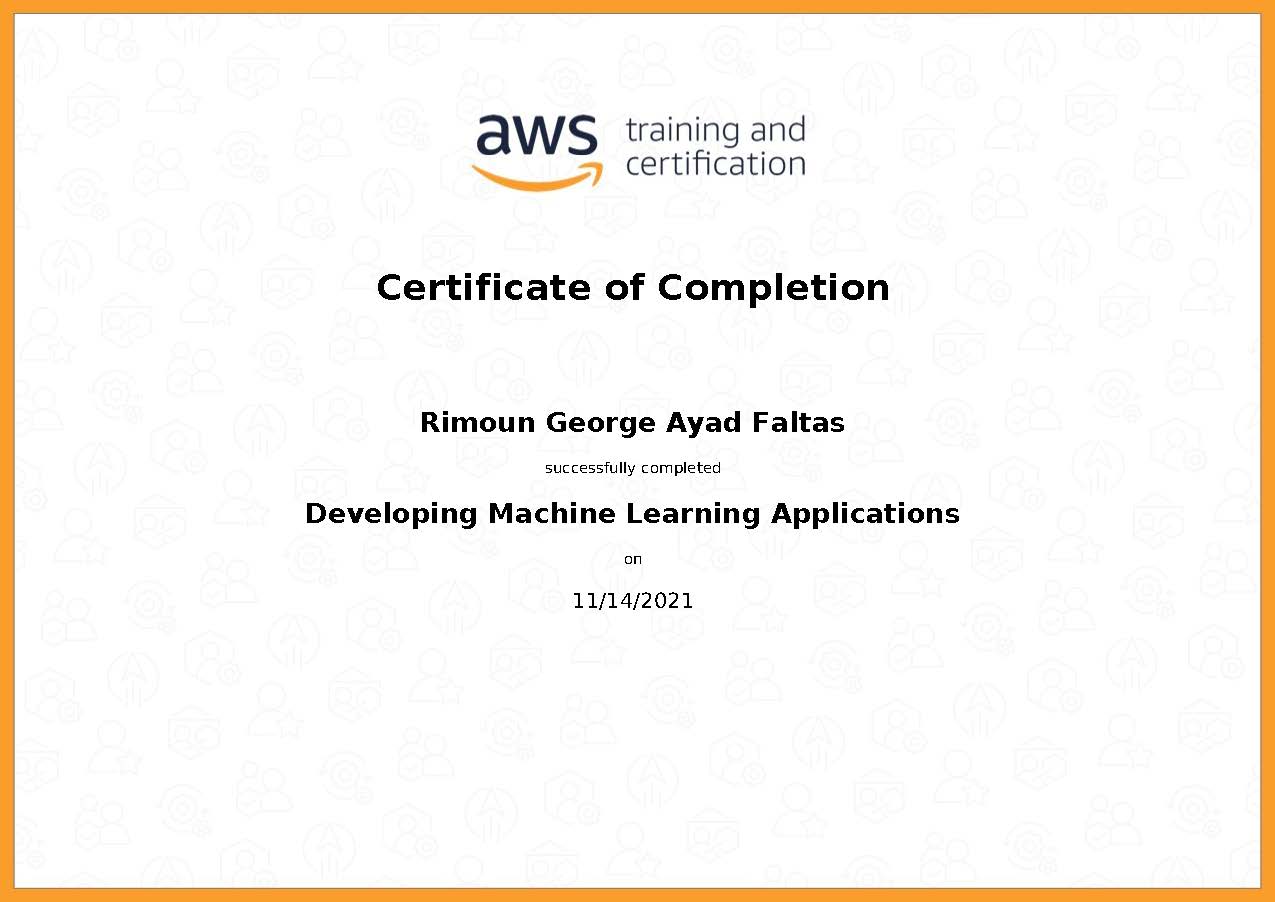 Developing Machine Learning Applications