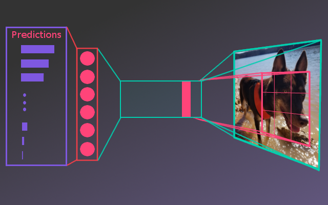 Dog breed classifier (Data Scientist Nanodegree program - Udacity)